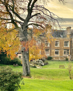 'Into the Silent Land' Five-day Silent Retreat