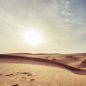 The Way of the Desert Mothers and Fathers: A journey into Peace and Compassion