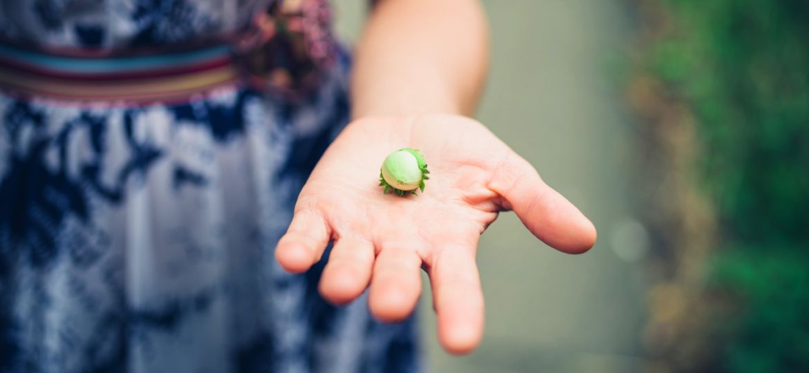 A girl holding a hazelnut in her open palm indicating the famous metaphor of Julian of Norwich in A Revelation of Love